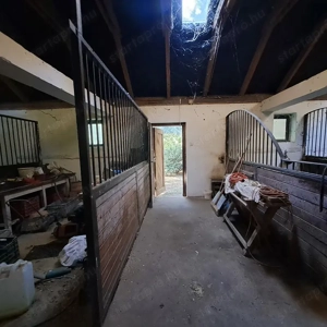 ÁRCSÖKKENÉS! Monorierdőn igényes TANYA istállóval, 2.9 HA területtel! - kép 10