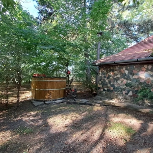 ÁRCSÖKKENÉS! Monorierdőn igényes TANYA istállóval, 2.9 HA területtel! - kép 8