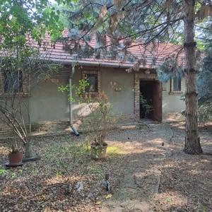 ÁRCSÖKKENÉS! Monorierdőn igényes TANYA istállóval, 2.9 HA területtel! - kép 9