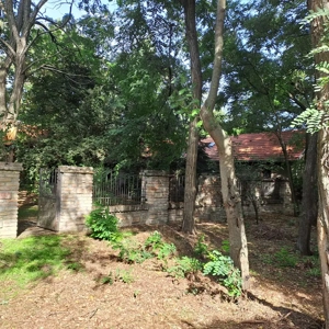 ÁRCSÖKKENÉS! Monorierdőn igényes TANYA istállóval, 2.9 HA területtel! - kép 15