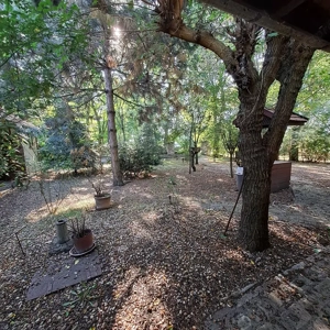 ÁRCSÖKKENÉS! Monorierdőn igényes TANYA istállóval, 2.9 HA területtel! - kép 13