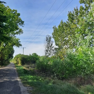 ÁRCSÖKKENÉS! Monorierdőn igényes TANYA istállóval, 2.9 HA területtel! - kép 16