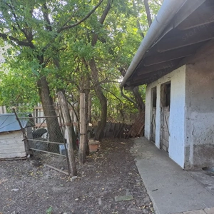 ÁRCSÖKKENÉS! Monorierdőn igényes TANYA istállóval, 2.9 HA területtel! - kép 14