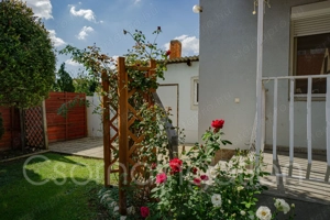 Csorna - Azonnal költözhető, 3 hálószoba + nappalis családi ház ELADÓ - kép 3