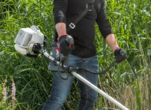 Vállalok Kerti Munkát. - kép 10