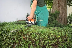 Vállalok Kerti Munkát. - kép 9