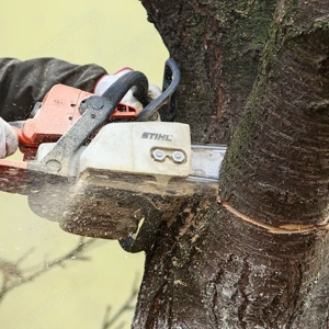 Vállalok Kerti Munkát. - kép 11