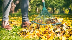 Vállalok Kerti Munkát. - kép 8