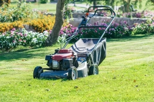 Vállalok Kerti Munkát. - kép 7