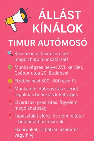 Állást Kínálok - Timur Autómosó