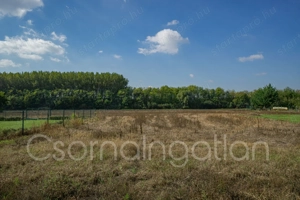 Rábapatona - összkomfortos tégla ház eladó - kép 11