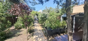 Különleges családi ház a XIX. kerületben - kép 13