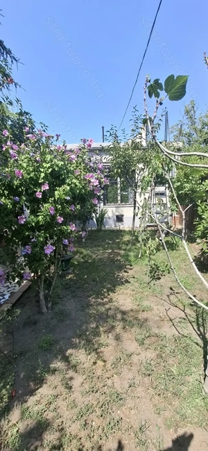 Különleges családi ház a XIX. kerületben - kép 15