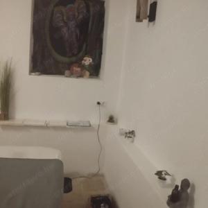  MASSZÁZS, Természetgyógyász ,Fülakupunktúra, BEMER  ÉRTERÁPIA,masszázs   - kép 5