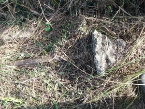 Lomtalanitás lak skiürit s!!!