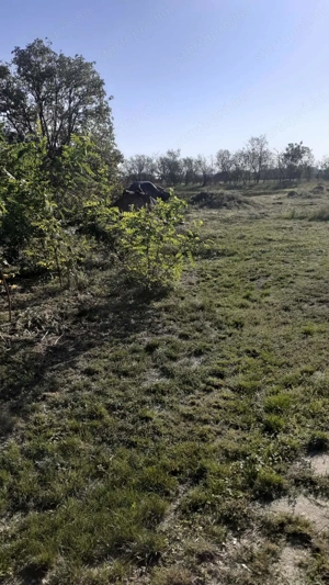 Családi ház eladó melléképületekkel  - kép 9