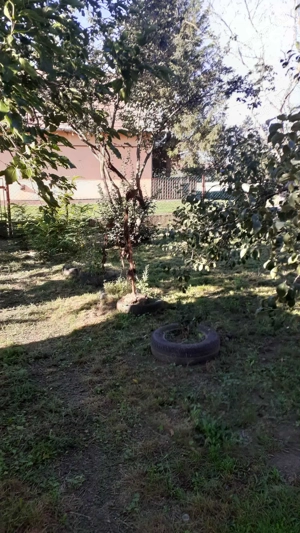 Családi ház eladó melléképületekkel  - kép 8