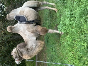 Tevegelési lehetőség! - kép 3