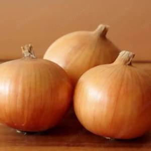 Ékezési Vöröshagyma Eladó!