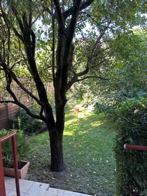 Vácon belvárosi két szintes családi ház eladó