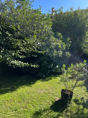 Vácon kertes ház eladó a belvárosban - kép 14