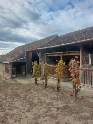 Eladó lakás  Fábiánházán. - kép 3