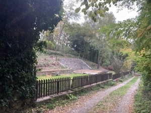 Leányfalun központ közeli, mégis csendes, gyönyörű telek eladó - kép 4