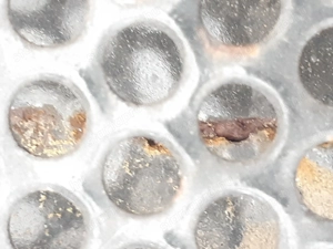 Calor gázüzemű kéményes fali-fűtő fűtőtest, konvektor 2 kW - kép 6