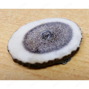 Szarvasagancs gomb készlet. Vadludas fém veretekkel, vadászoknak. 10db. egyben - kép 2