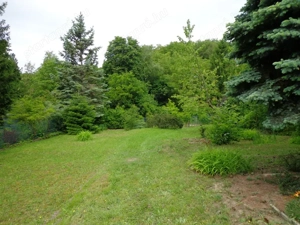 Verőcén szép telek eladó kis házzal - kép 11