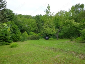 Verőcén szép telek eladó kis házzal - kép 8