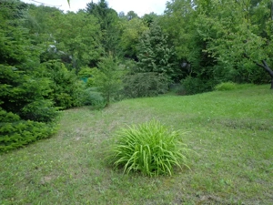 Verőcén szép telek eladó kis házzal - kép 12