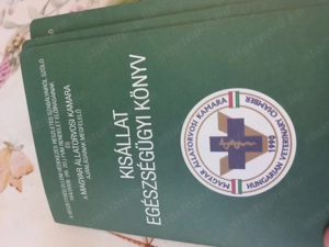 Yorkshrie terrier kölykök l nyok  fiúk  - kép 3