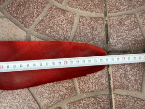 42 es Scarpa Laser túrasí bakancs 42 es Scarpa túracipő jó állapotban 20.000 Ft - kép 12