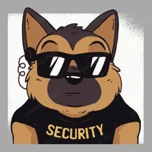 Sárvár - Vagyonőr