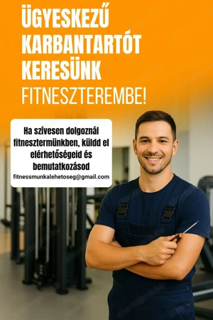Ügyeskezű karbantartót keresünk !