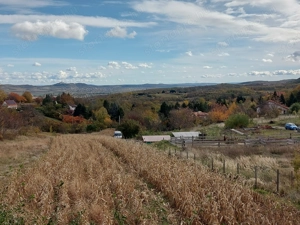 Van egy hely Nyúlon, ahol megáll az idő. És eladó. - kép 3