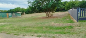 Mórichidán két szomszédos telek egyben vagy külön is eladó - kép 5