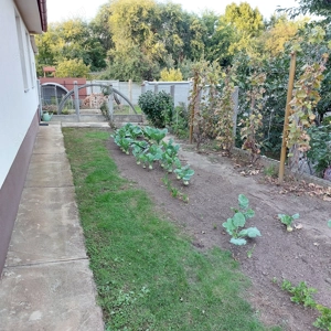 Csapókertben Ikerház jellegű ingatlan eladó! - kép 8