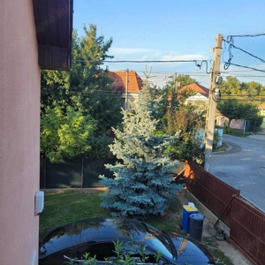 Eladó tulajdonostól igényesen felújított családi ház Maglódon  - kép 14