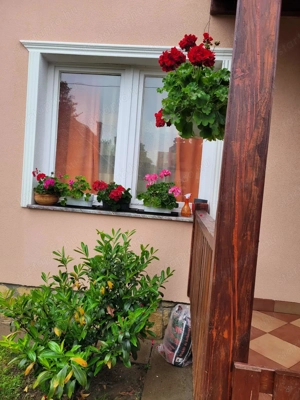 Eladó tulajdonostól igényesen felújított családi ház Maglódon  - kép 3