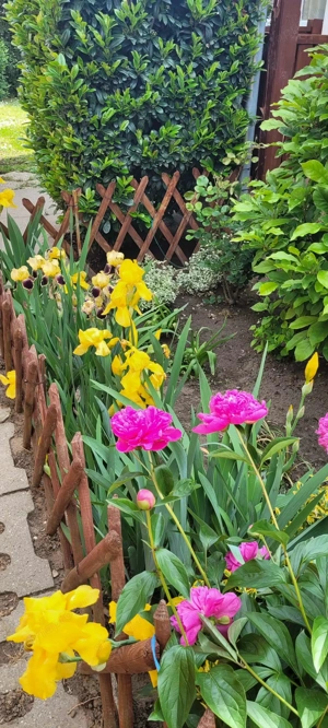 Eladó tulajdonostól igényesen felújított családi ház Maglódon  - kép 16