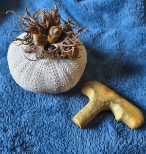 Szakszerű holisztikus talpasszázs AJÁNDÉKKAL! - kép 2