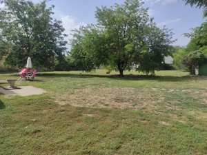 Kedvenc kutyapanzió és napközi  - kép 2