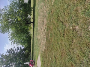 Kedvenc kutyapanzió és napközi  - kép 3