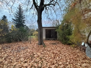 Balassagyarmat belvárosában polgári lakóház nagy telekkel eladó! - kép 12