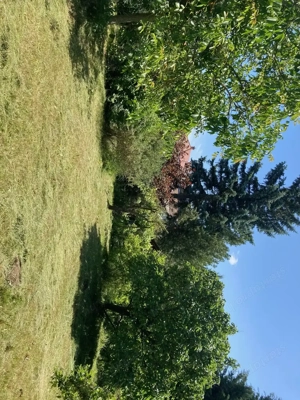 Balassagyarmat belvárosában polgári lakóház nagy telekkel eladó! - kép 13