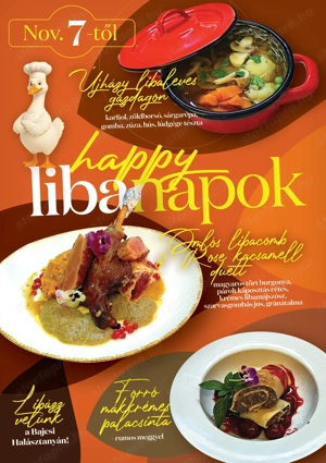 Tartalommenedzselő és grafikus munkát keresek SOS - kép 5