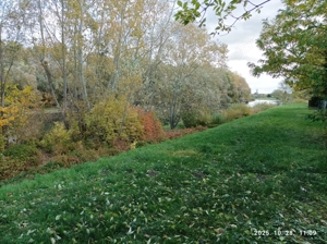 Építési telek eladó Mecséren   Duna parttól 50 m-re - kép 7