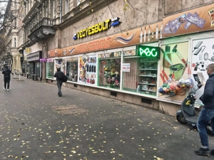 Erzsébet krt kiemelten forgalmas nagy üzlethelyiség kiadó! - kép 4